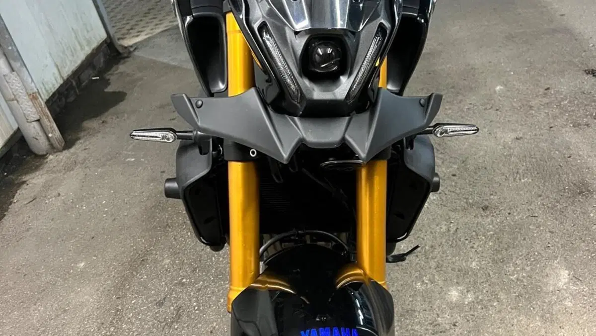Yamaha MT-09 SP (2021 - 23)  (3)