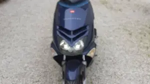 Aprilia Leonardo 250 (1999 -02)  (2)