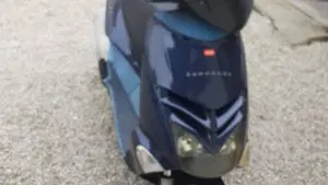 Aprilia Leonardo 250 (1999 -02)  (3)