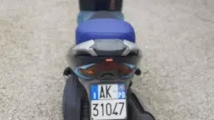Aprilia Leonardo 250 (1999 -02)  (4)