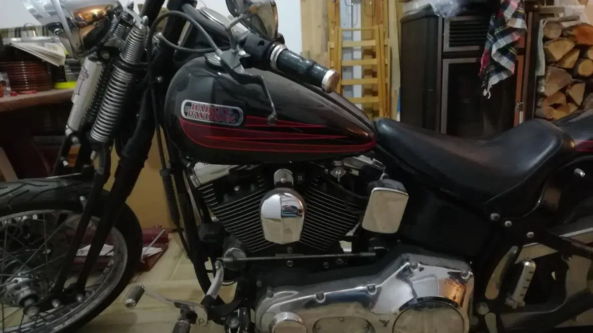 Harley-Davidson 1340 Bad Boy (1995 - 99) 
