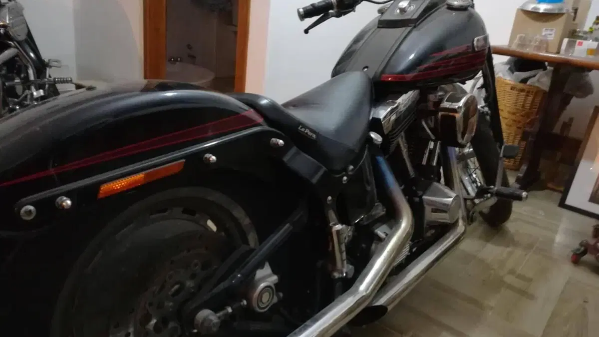 Harley-Davidson 1340 Bad Boy (1995 - 99)  (5)