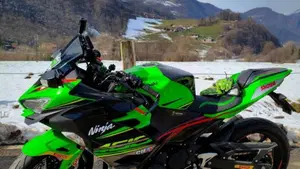 Kawasaki Ninja 400 KRT (2018)  (6)