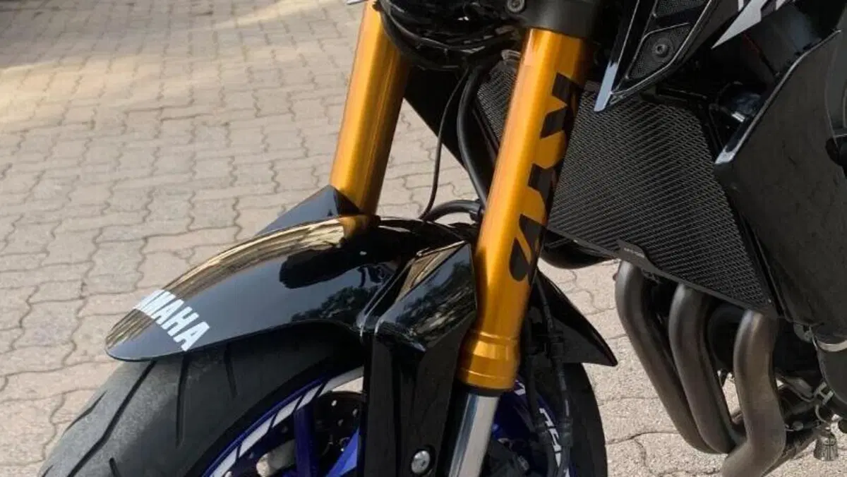 Yamaha MT-09 SP (2018 - 20)  (7)