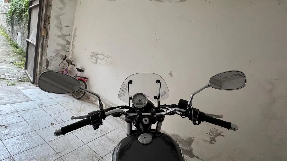 Moto Guzzi V9 Roamer (2018 - 20)  (9)