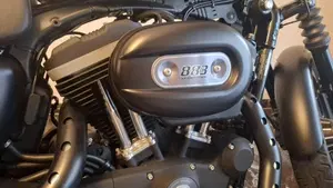 Harley-Davidson 883 Iron (2009 - 11) - XL 883N  (6)