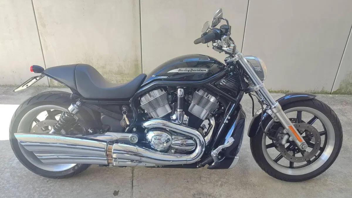 Harley-Davidson 1130 V-ROD (2002 - 05) - VRSCB 