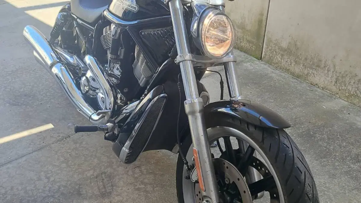 Harley-Davidson 1130 V-ROD (2002 - 05) - VRSCB  (2)