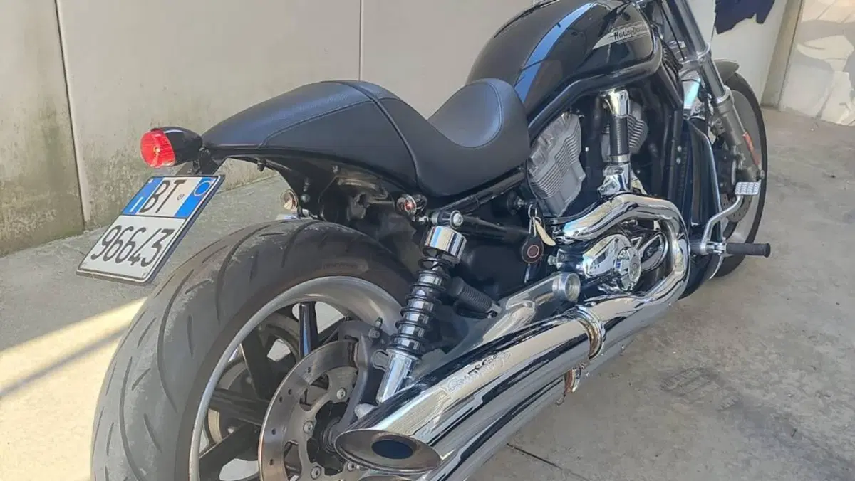 Harley-Davidson 1130 V-ROD (2002 - 05) - VRSCB  (3)