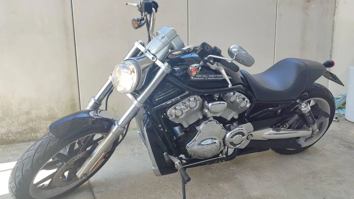 Harley-Davidson 1130 V-ROD (2002 - 05) - VRSCB  (6)