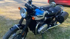 Triumph Bonneville T100 (2017 - 20)  (4)