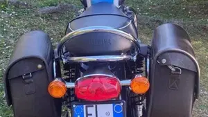 Triumph Bonneville T100 (2017 - 20)  (15)