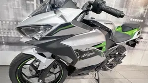 Kawasaki Ninja e-1 (2024 - 26)  (5)