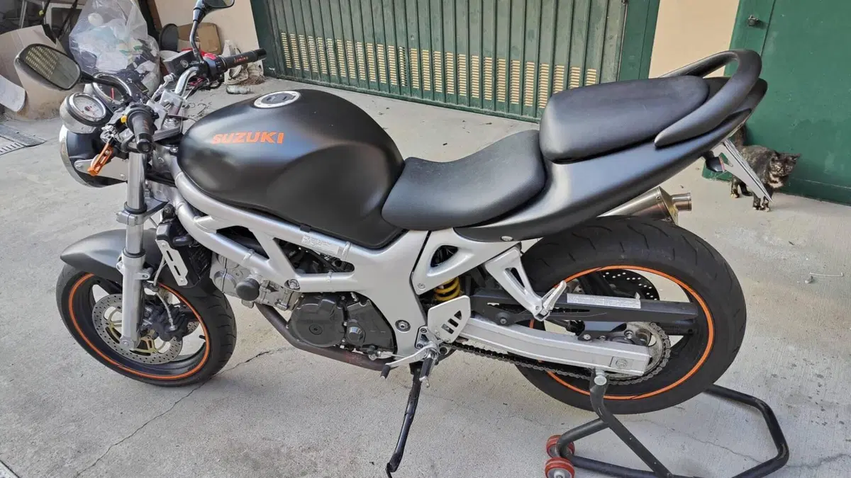 Suzuki SV 650 (1999 - 02)  (4)