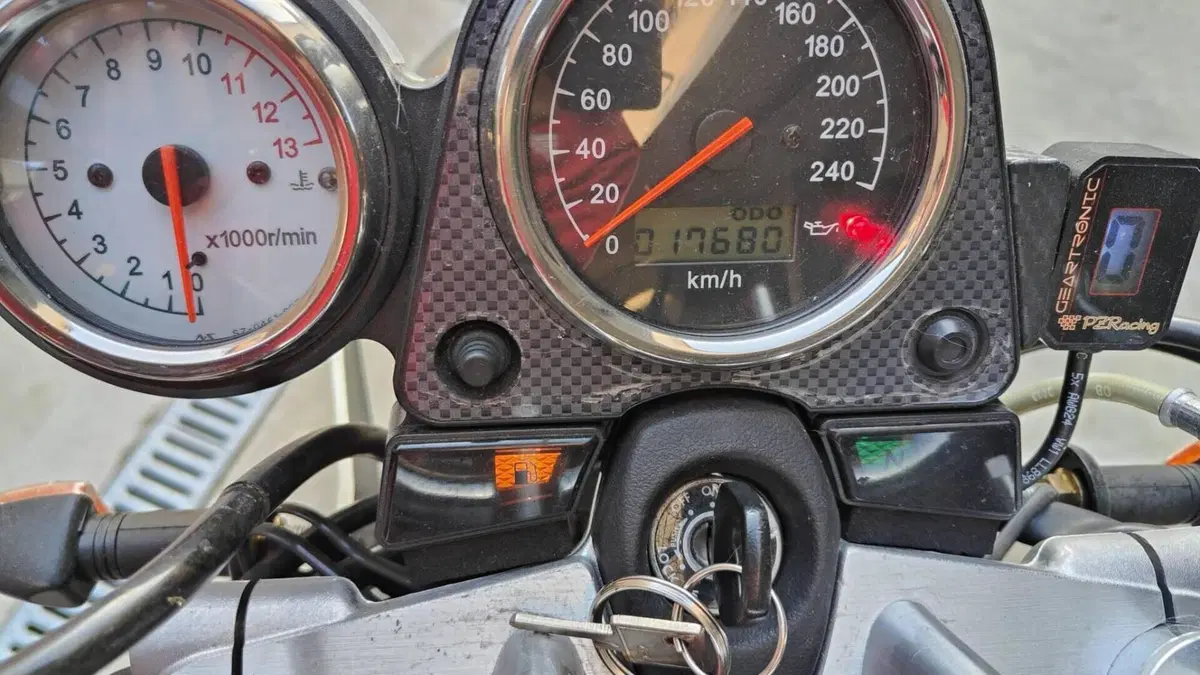 Suzuki SV 650 (1999 - 02)  (9)