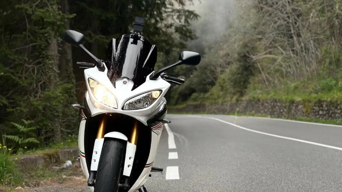 Yamaha FZ8 (2013 - 16)  (2)
