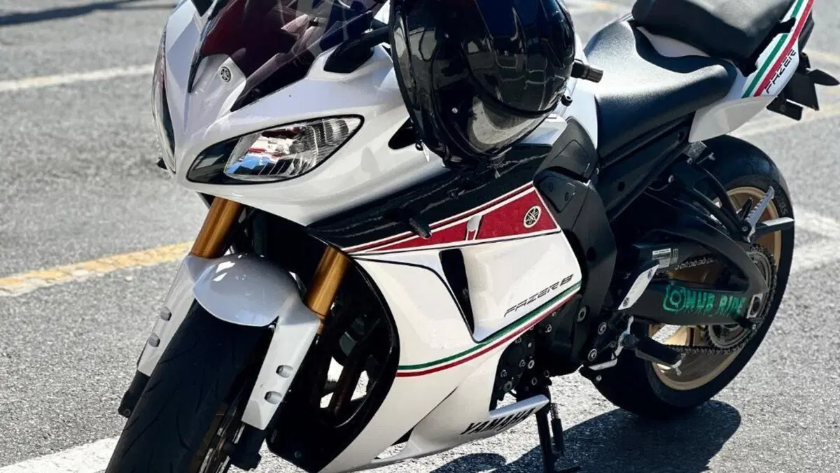 Yamaha FZ8 (2013 - 16)  (4)