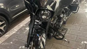 Harley-Davidson Street Glide ST (2022 - 23)  (17)