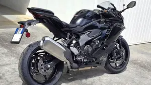 Kawasaki Ninja ZX-4R (2024 - 26)  (2)