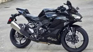Kawasaki Ninja ZX-4R (2024 - 26)  (4)