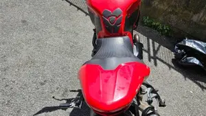 Ducati Monster 821 (2018 - 20)  (5)
