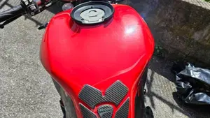 Ducati Monster 821 (2018 - 20)  (7)