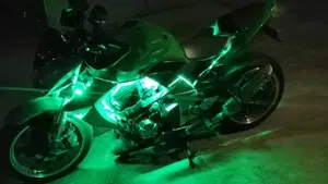 Kawasaki Z 1000 (2007 - 09)  (9)
