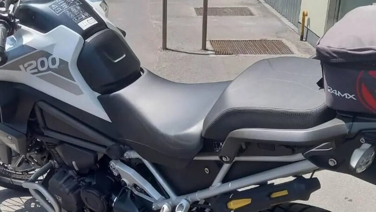 Triumph Tiger 1200 Rally Pro (2022 - 23)  (4)