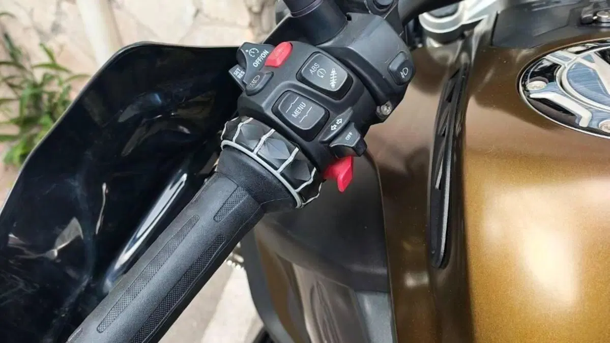 Bmw R 1250 GS Adventure (2019 - 20)  (2)