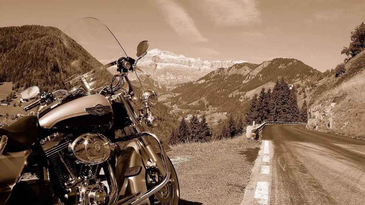 Harley-Davidson   (2)