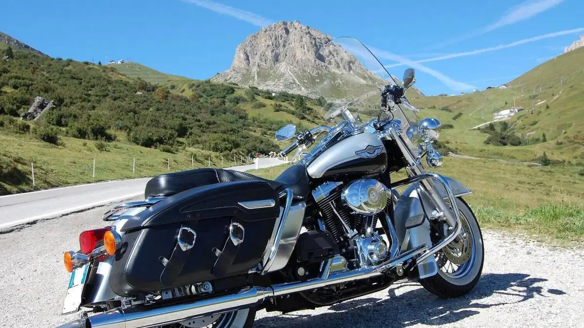 Harley-Davidson   (3)