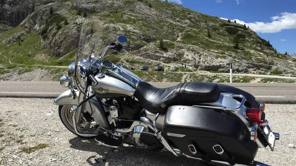 Harley-Davidson   (5)