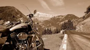 Harley-Davidson 1450 Road King (1999 - 03) - FLHR  (2)