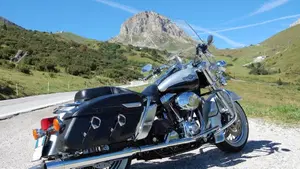Harley-Davidson 1450 Road King (1999 - 03) - FLHR  (3)