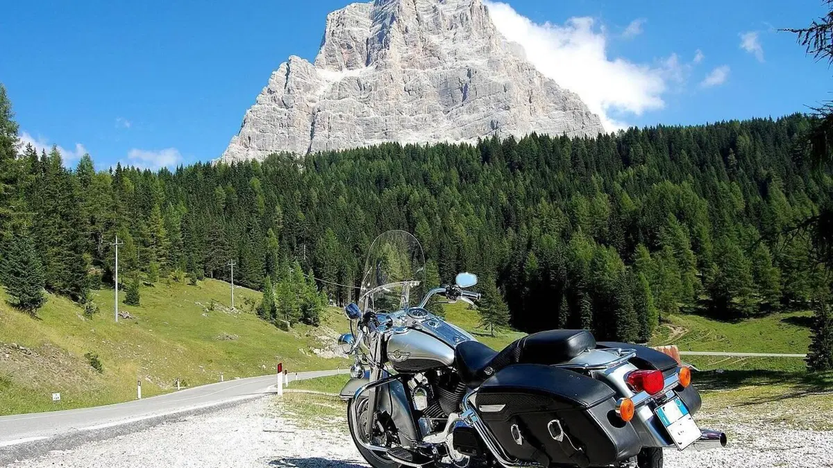 Harley-Davidson 1450 Road King (1999 - 03) - FLHR  (4)