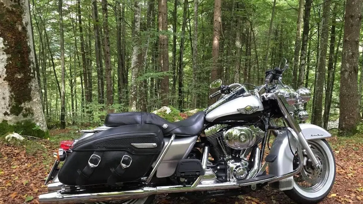 Harley-Davidson 1450 Road King (1999 - 03) - FLHR  (6)