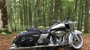Harley-Davidson 1450 Road King (1999 - 03) - FLHR  (6)