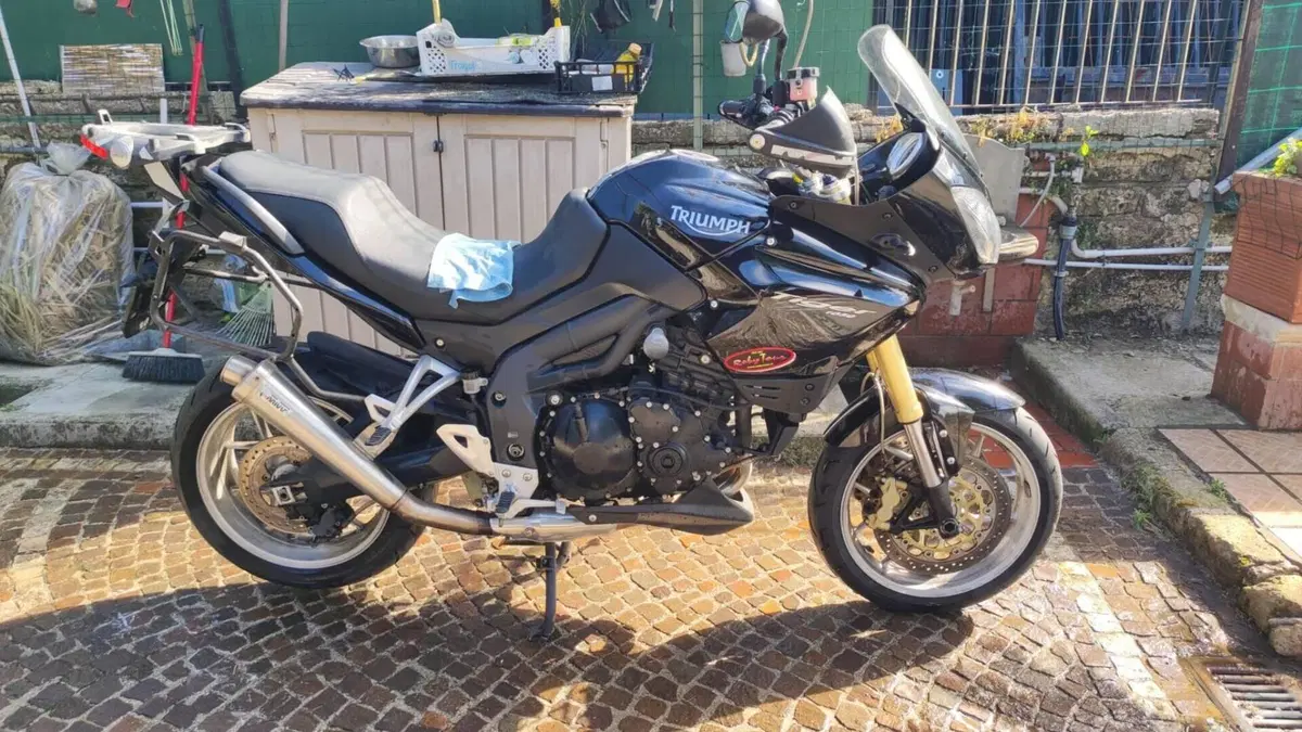 Triumph Tiger 1050 (2006 - 12)  (3)