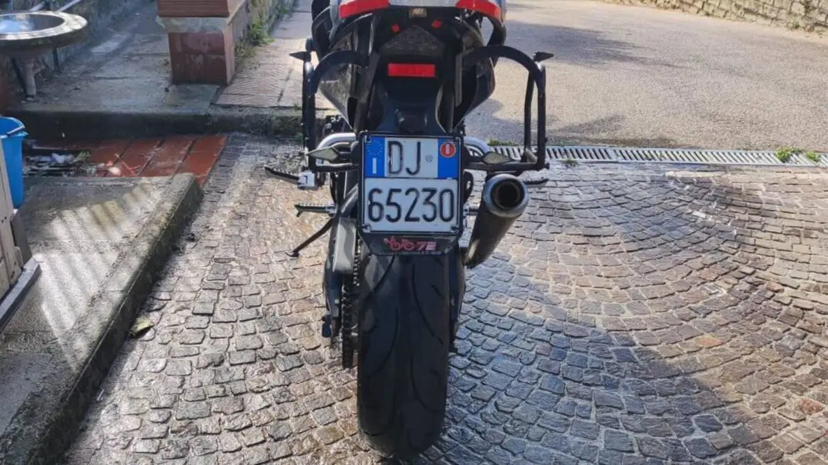 Triumph Tiger 1050 (2006 - 12)  (4)