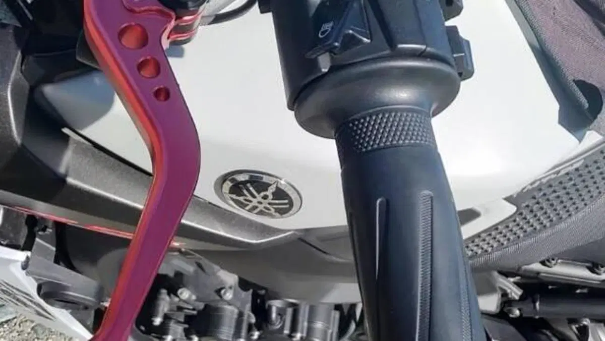 Yamaha MT-09 (2017 - 20)  (4)