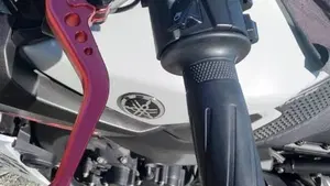 Yamaha MT-09 (2017 - 20)  (4)