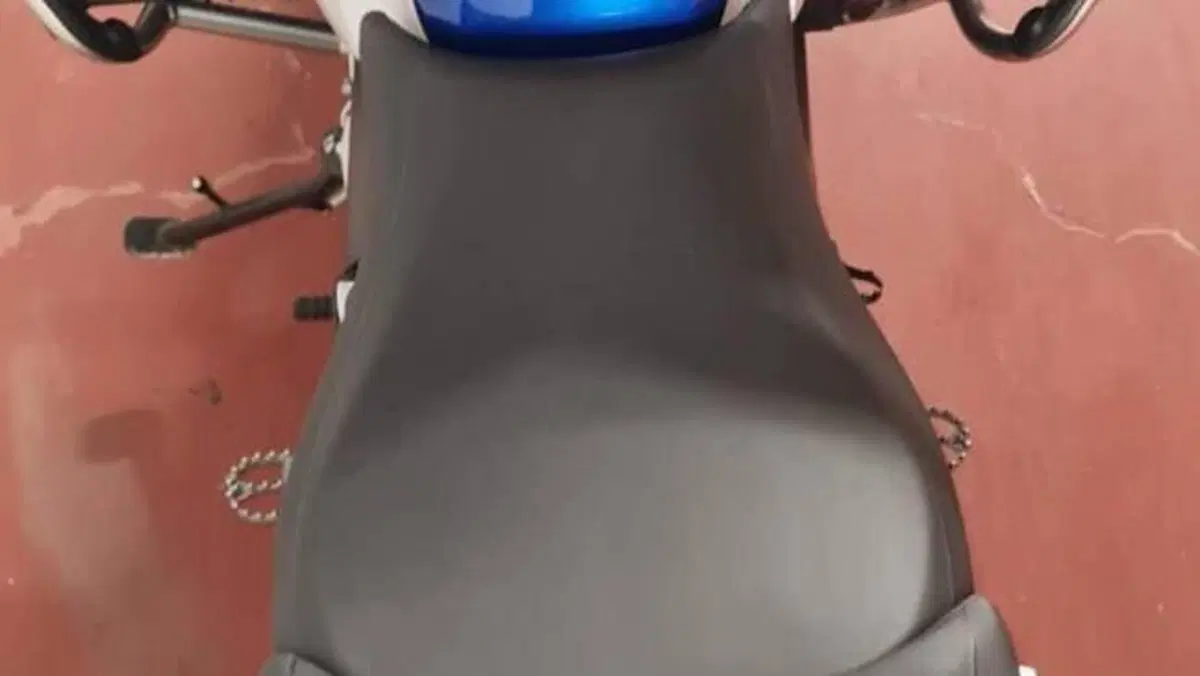 Bmw R 1250 GS Adventure (2019 - 20)  (6)