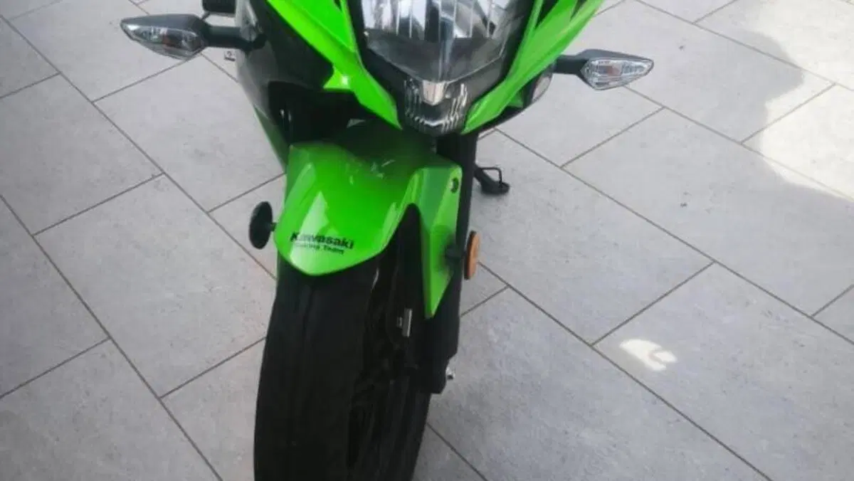 Kawasaki Ninja 125 Performance (2021 - 24)  (3)