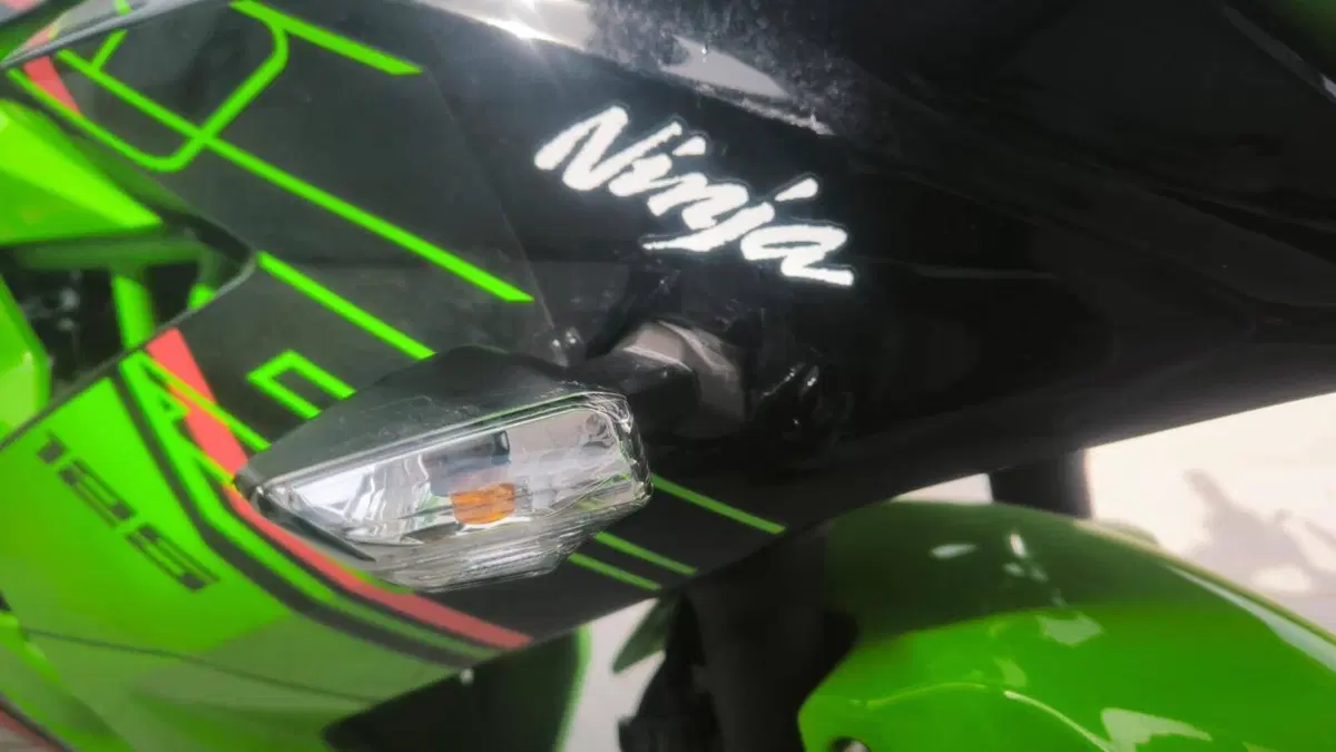 Kawasaki Ninja 125 Performance (2021 - 24)  (4)