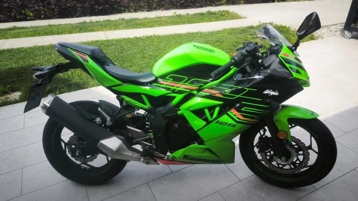 Kawasaki Ninja 125 Performance (2021 - 24)  (6)