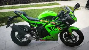 Kawasaki Ninja 125 Performance (2021 - 24)  (6)