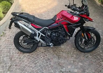 Triumph Tiger 900 GT (2024 - 26) - Annuncio 10019180