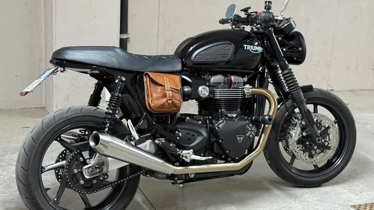 Triumph Speed Twin 1200 (2019 - 20)  (2)
