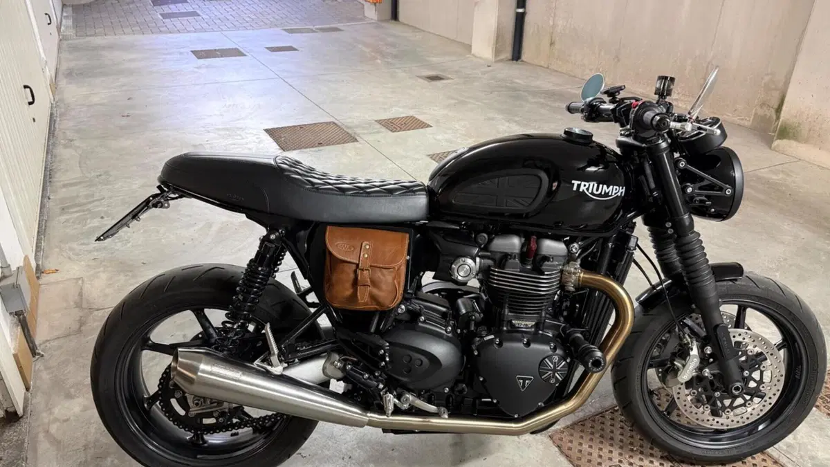 Triumph Speed Twin 1200 (2019 - 20)  (3)