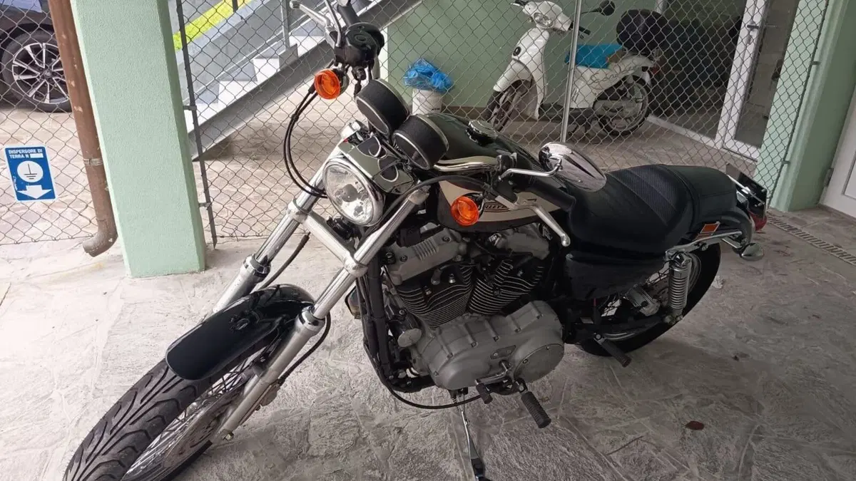 Harley-Davidson 1200 Roadster (2002 - 05) - XL 1200R 